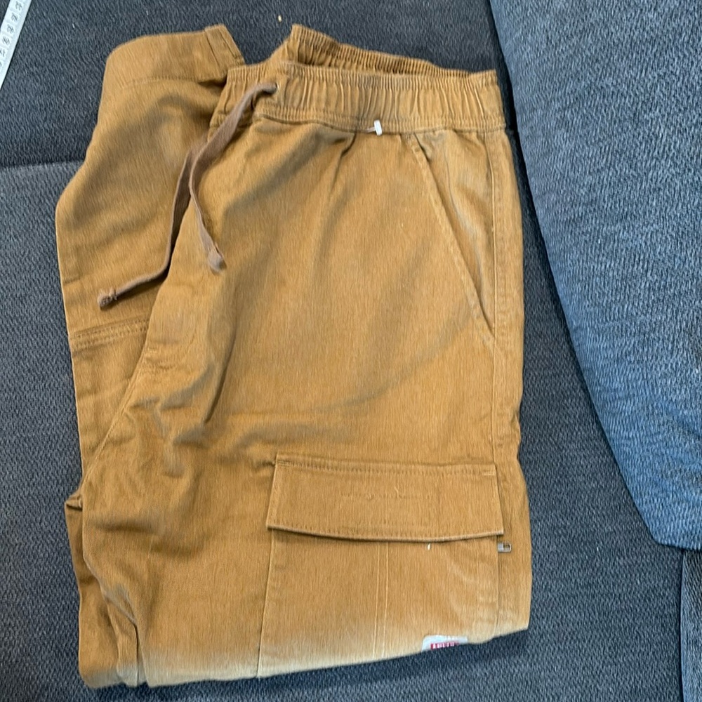 Levi’s Utility Pants